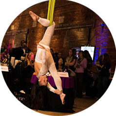 aerialists