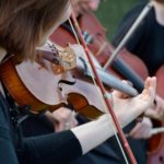 Violinist